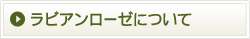 ラビアンローゼについて